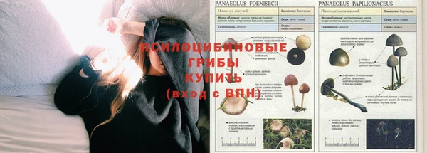 кокаин VHQ Бородино