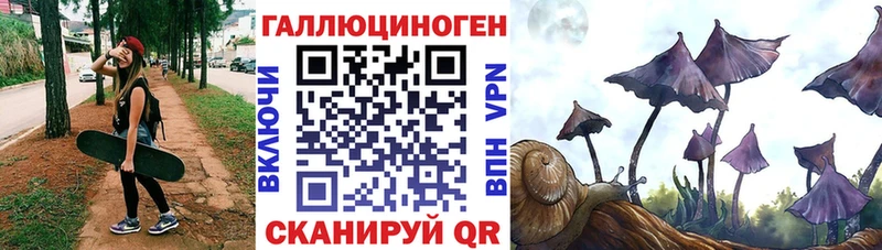 shop какой сайт  KRAKEN сайт  Тюмень  Псилоцибиновые грибы Psilocybine cubensis 